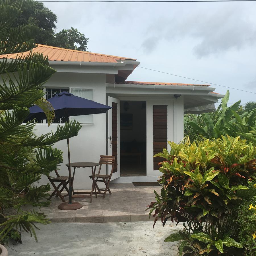 Smithy'S Eco-Apartment Morne Jaloux Ridge المظهر الخارجي الصورة
