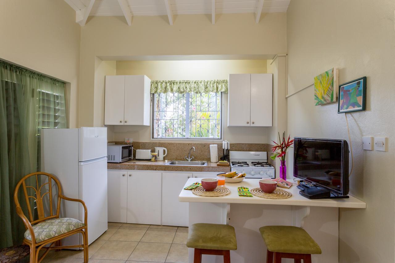 Smithy'S Eco-Apartment Morne Jaloux Ridge المظهر الخارجي الصورة