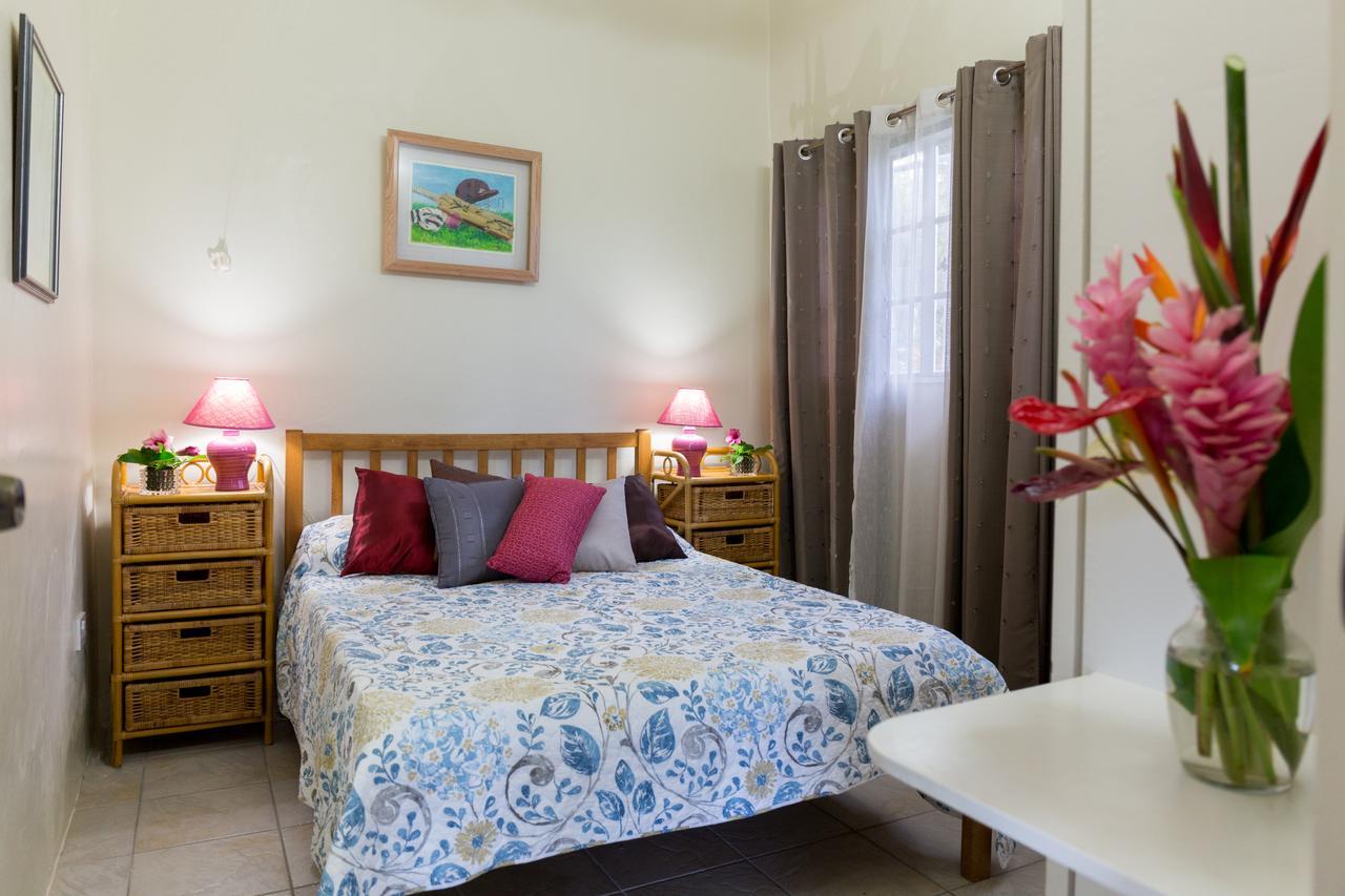 Smithy'S Eco-Apartment Morne Jaloux Ridge المظهر الخارجي الصورة