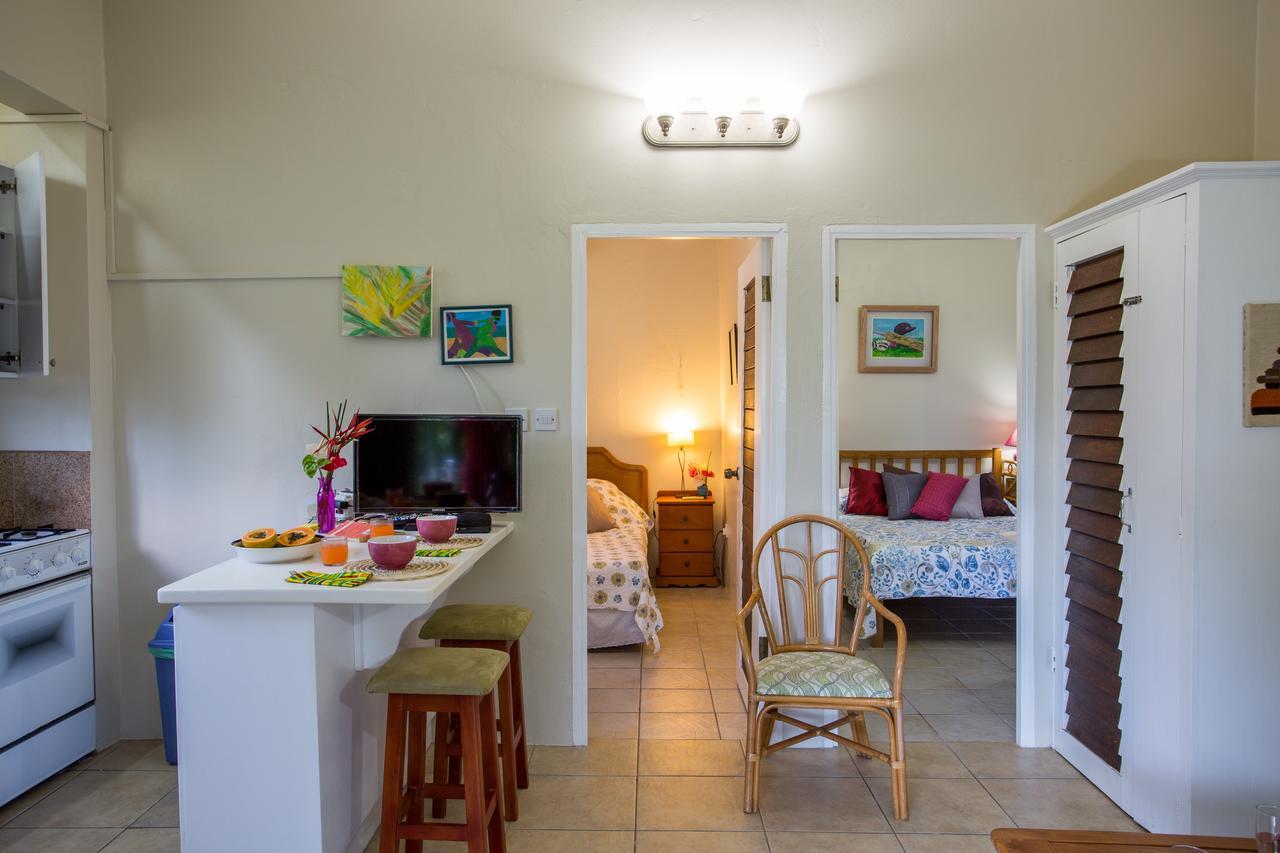 Smithy'S Eco-Apartment Morne Jaloux Ridge المظهر الخارجي الصورة