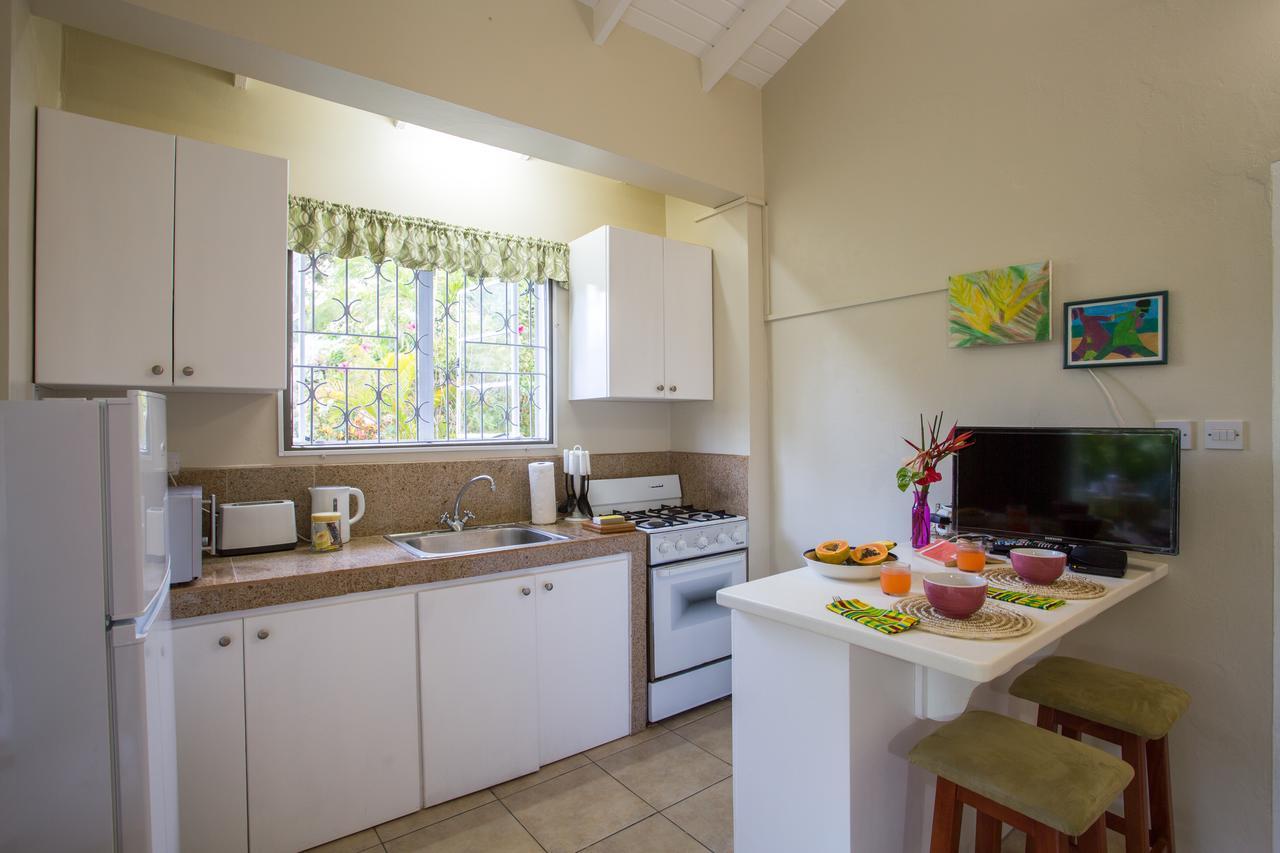 Smithy'S Eco-Apartment Morne Jaloux Ridge المظهر الخارجي الصورة